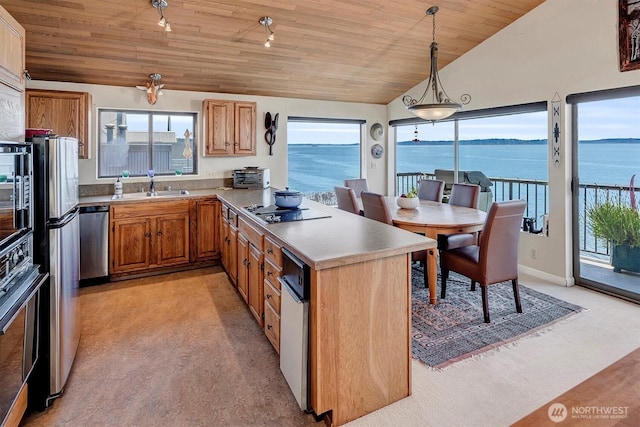 4131 Beach Dr SW, Seattle, WA 98116 - photo 34