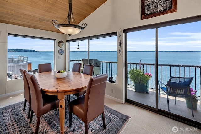 4131 Beach Dr SW, Seattle, WA 98116 - photo 35