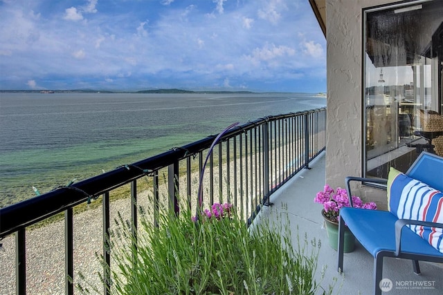 4131 Beach Dr SW, Seattle, WA 98116 - photo 39