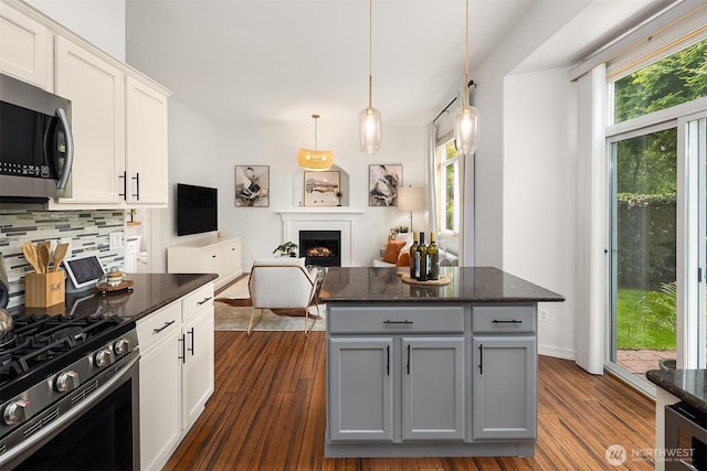 23618 Carter Rd, Bothell, WA 98021 - kitchen featuring stainless steel appliances, decorative backsplash, a lit fireplace, dark wood-style flooring, and dark stone counters