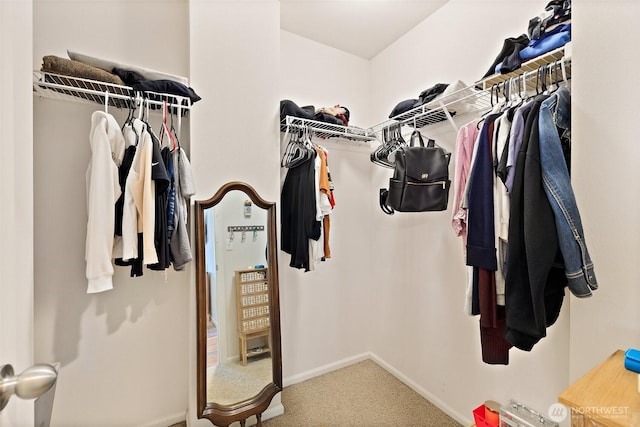 16922 SE 262nd St, Covington, WA 98042 - spacious closet with carpet floors