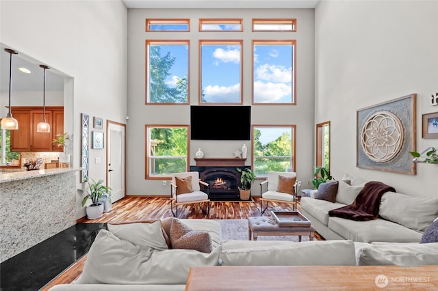 19838 Bear View Ln SW, Rochester, WA 98579 - living area with a high ceiling, healthy amount of natural light, light wood finished floors, and a fireplace with flush hearth