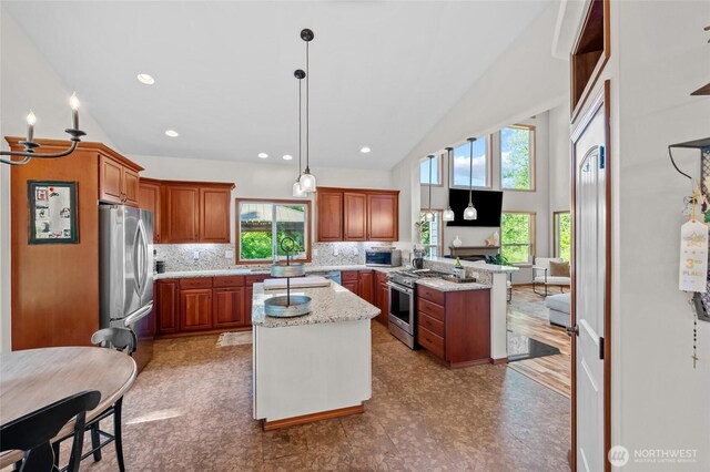 19838 Bear View Ln SW, Rochester, WA 98579 - kitchen with appliances with stainless steel finishes, a peninsula, plenty of natural light, tasteful backsplash, and high vaulted ceiling