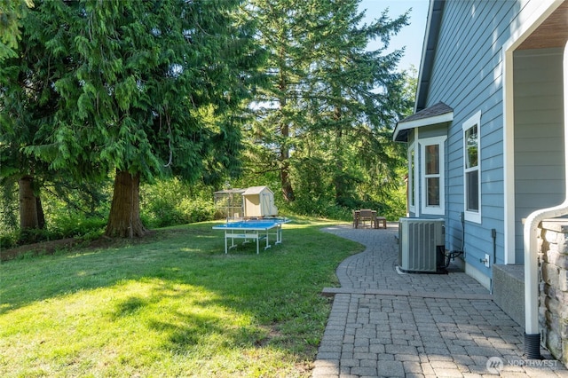 19838 Bear View Ln SW, Rochester, WA 98579 - view of green lawn featuring a storage unit and a patio area