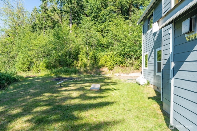 19838 Bear View Ln SW, Rochester, WA 98579 - view of green lawn with a wooded view