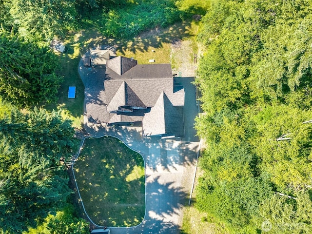 19838 Bear View Ln SW, Rochester, WA 98579 - view from above of property