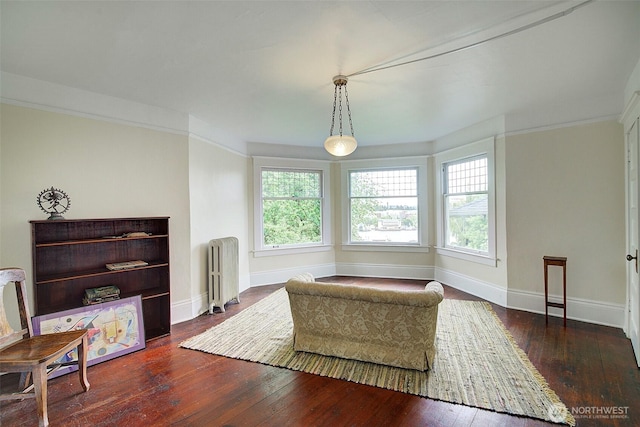 906 E Shelby St, Seattle, WA 98102 - sitting room with radiator and hardwood / wood-style floors