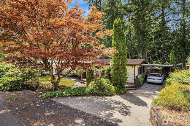 827 211th Pl NE, Sammamish, WA 98074 - obstructed view of property featuring driveway and an attached carport