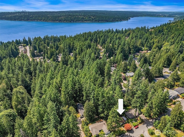 827 211th Pl NE, Sammamish, WA 98074 - aerial overview of property's location with a forest and a nearby body of water