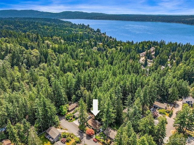 827 211th Pl NE, Sammamish, WA 98074 - bird's eye view of a forest and a water and mountain view