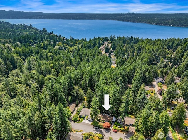 827 211th Pl NE, Sammamish, WA 98074 - bird's eye view of a large body of water