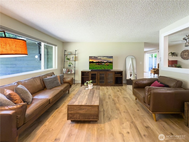 17714 Robinhood Ln, Snohomish, WA 98290 - living room featuring a textured ceiling and wood-type flooring