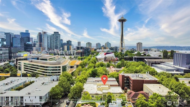 621 5th Ave N Unit 103, Seattle, WA 98109 - skyline view