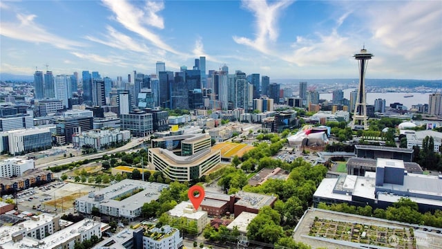 621 5th Ave N Unit 103, Seattle, WA 98109 - view of city skyline
