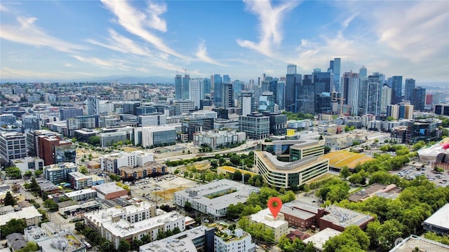 621 5th Ave N Unit 103, Seattle, WA 98109 - skyline view