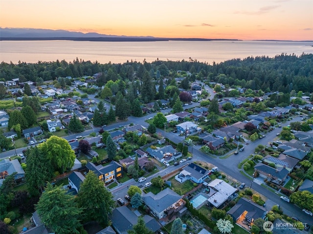 10339 11th Ave NW, Seattle, WA 98177 - aerial view at dusk of a residential view and a water view