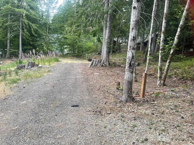21 N Bingham Pl, Hoodsport, WA 98548