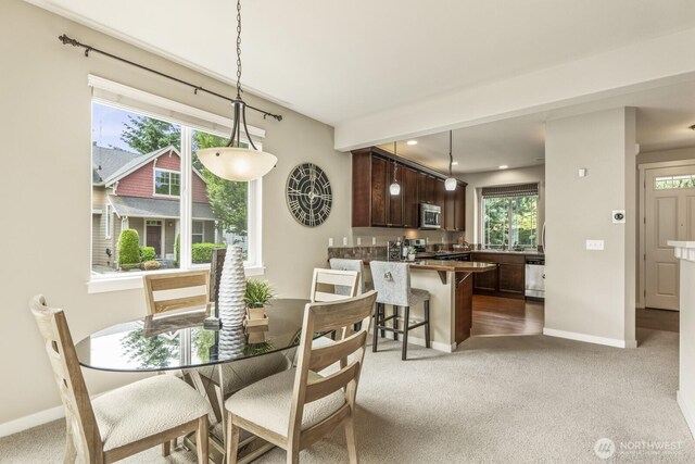 14828 8th Dr SE, Mill Creek, WA 98012 - photo 17