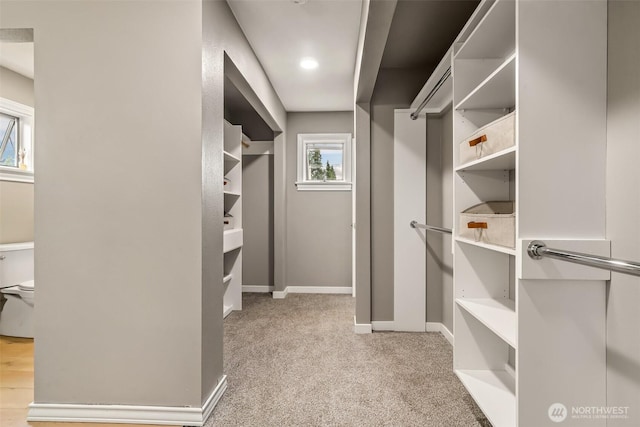 233 Joann Ln, Arlington, WA 98223 - spacious closet with carpet floors