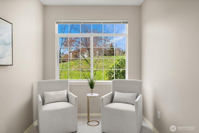 1855 Trossachs Blvd SE Unit 1401, Sammamish, WA 98075 - sitting room with healthy amount of natural light and carpet