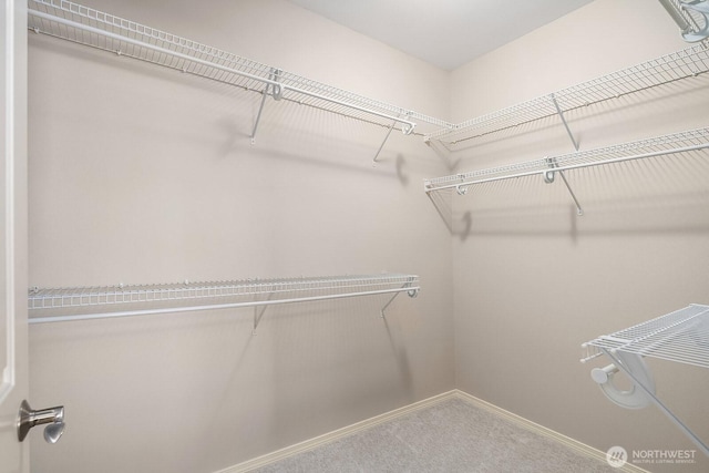 1855 Trossachs Blvd SE Unit 1401, Sammamish, WA 98075 - spacious closet with carpet