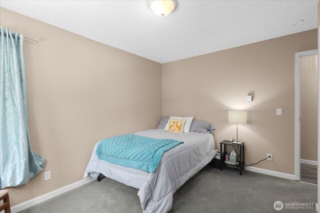 4717 188th St NW, Stanwood, WA 98292 - photo 13