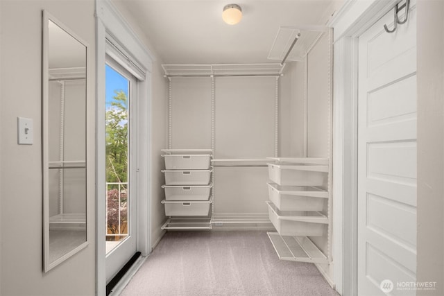 325 23rd Ave E, Seattle, WA 98112 - spacious closet with attic access and carpet