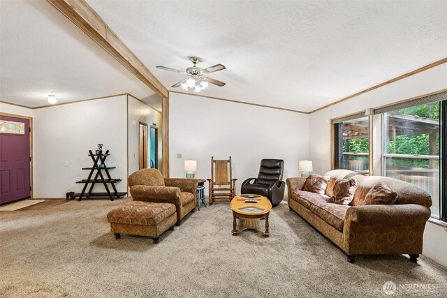 22532 Grip Rd, Sedro Woolley, WA 98284 - photo 10