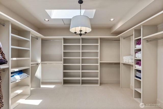 303 39th Ave NE, Olympia, WA 98506 - walk in closet with a skylight and carpet flooring