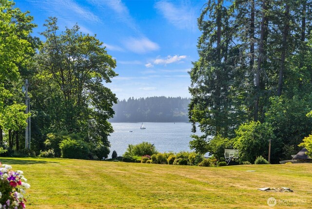 303 39th Ave NE, Olympia, WA 98506 - water view