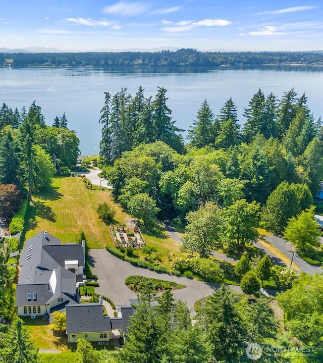 303 39th Ave NE, Olympia, WA 98506 - drone / aerial view of a large body of water
