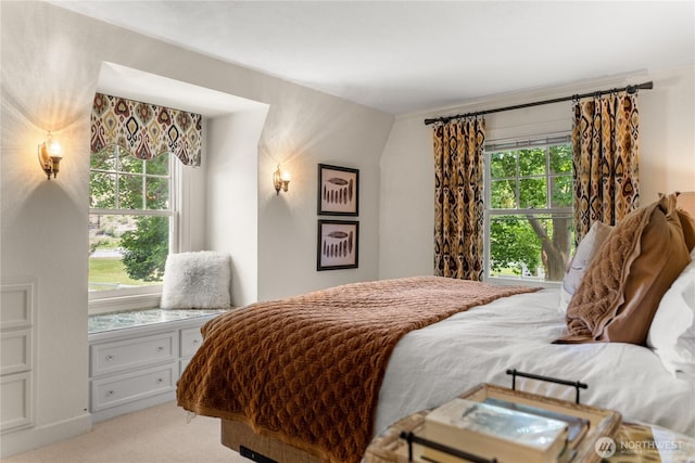 3A Ross Rd, Twisp, WA 98856 - bedroom with light carpet