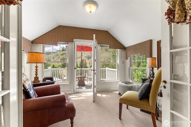 3A Ross Rd, Twisp, WA 98856 - living room with lofted ceiling and carpet flooring