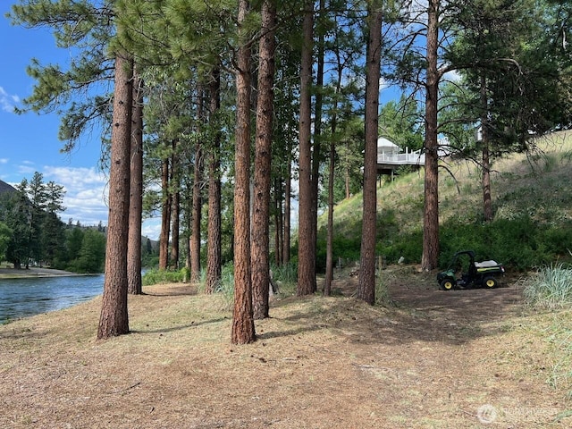 3A Ross Rd, Twisp, WA 98856 - view of yard featuring a water view