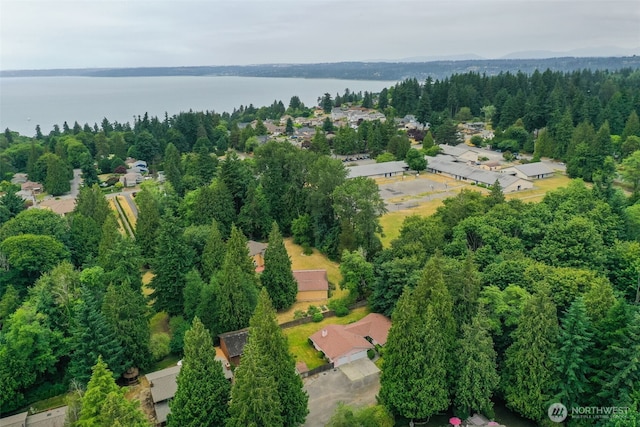 2004 SW 306th Pl, Federal Way, WA 98023 - view of property location featuring a nearby body of water and a heavily wooded area