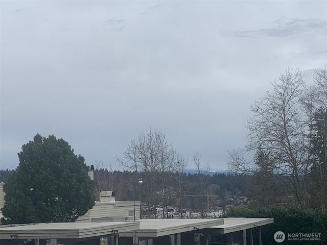 7503 152nd Ave NE, Redmond, WA 98052 - photo 7
