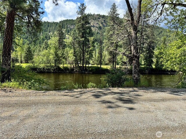 390 Customs Rd, Curlew, WA 99118 - water view with a heavily wooded area