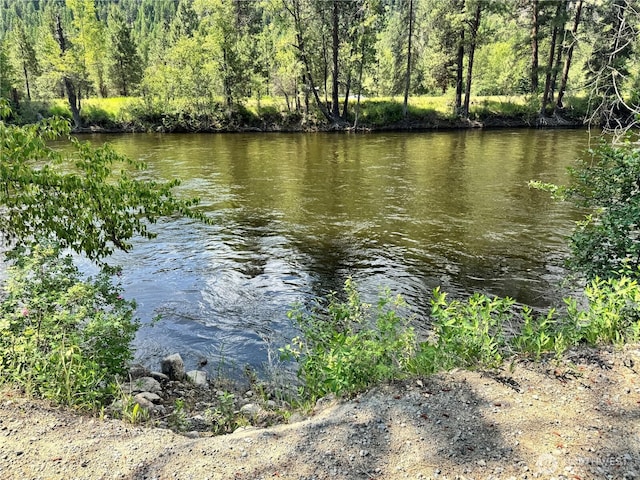 390 Customs Rd, Curlew, WA 99118 - water view featuring a forest