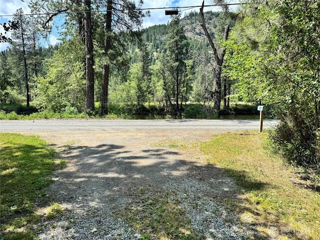 390 Customs Rd, Curlew, WA 99118 - view of road with a wooded view