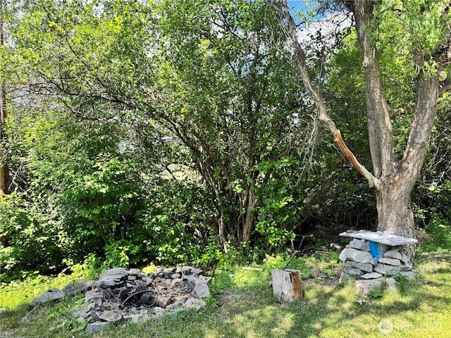 390 Customs Rd, Curlew, WA 99118 - view of yard
