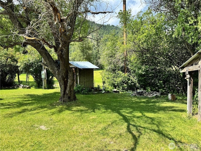 390 Customs Rd, Curlew, WA 99118 - view of green lawn