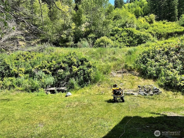 390 Customs Rd, Curlew, WA 99118 - view of yard