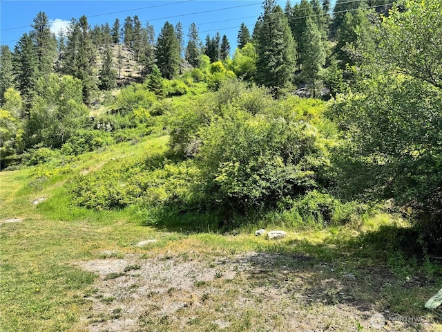 390 Customs Rd, Curlew, WA 99118 - view of nature