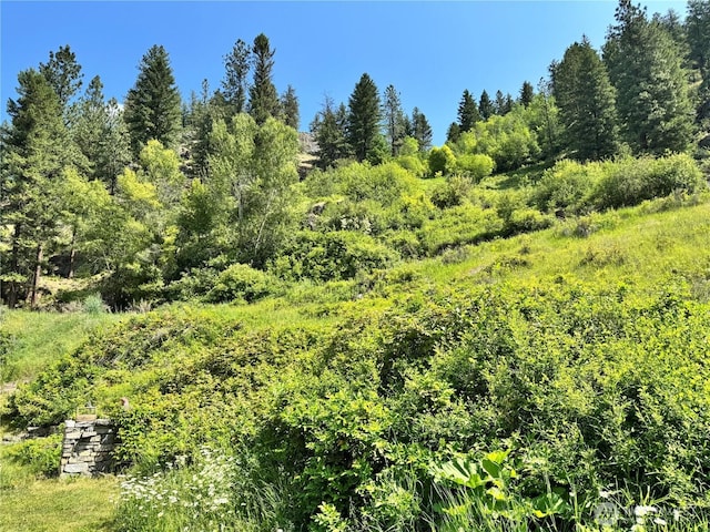 390 Customs Rd, Curlew, WA 99118 - view of local wilderness