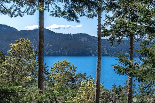 339 Highlands Dr, Orcas Island, WA 98245 - water view featuring mountains