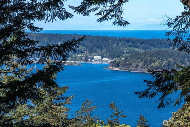 339 Highlands Dr, Orcas Island, WA 98245 - water view with a forest