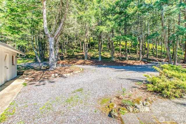 339 Highlands Dr, Orcas Island, WA 98245 - view of yard