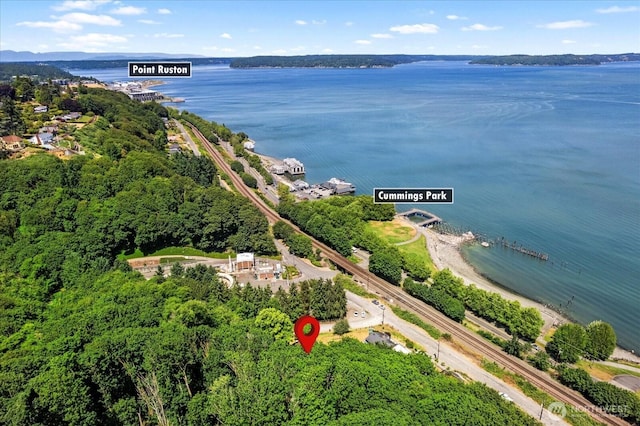 3811 N Dale St, Tacoma, WA 98407 - aerial view of a large body of water