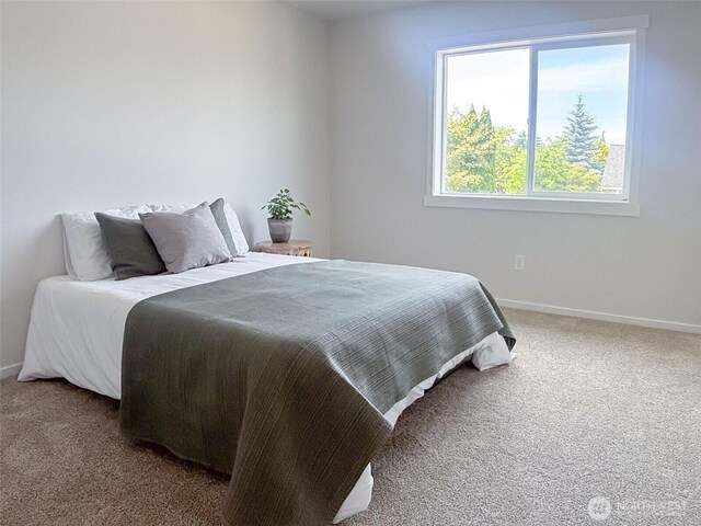 218 NW 3rd St, Coupeville, WA 98239 - photo 18