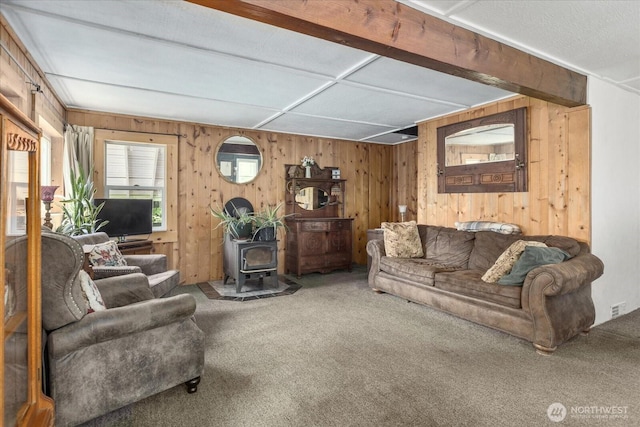 48911 Mountain Loop Hwy, Granite Falls, WA 98252 - carpeted living area with a wood stove and wood walls